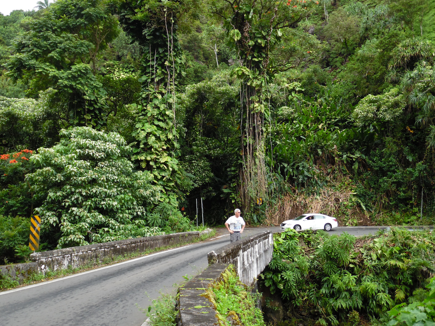 1 of the 54 bridges on the road to Hana